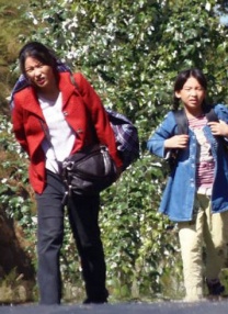 草久在线视频
